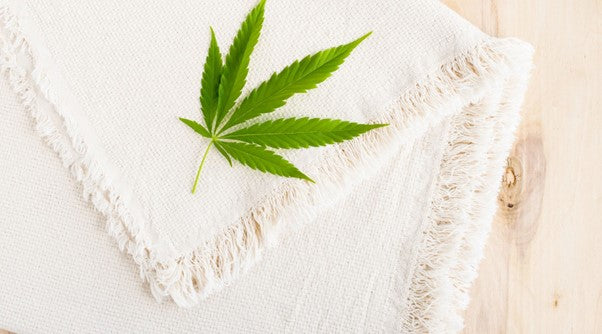 Why is Hemp Clothing Better Than Cotton?